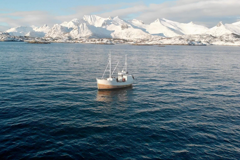 Svolvær: Viagem de pesca no mar de Lofoten