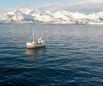 Svolvær: Gita di pesca nel mare delle Lofoten