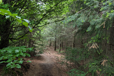 Vienna: Scenic Hiking Tour to Dürnstein/Wachau with Transfer
