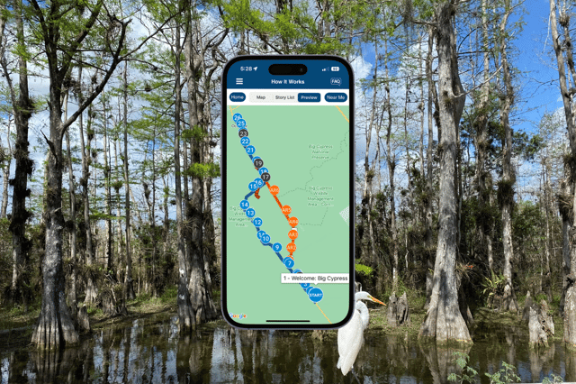 Florida: Audio tour della riserva nazionale di Big Cypress