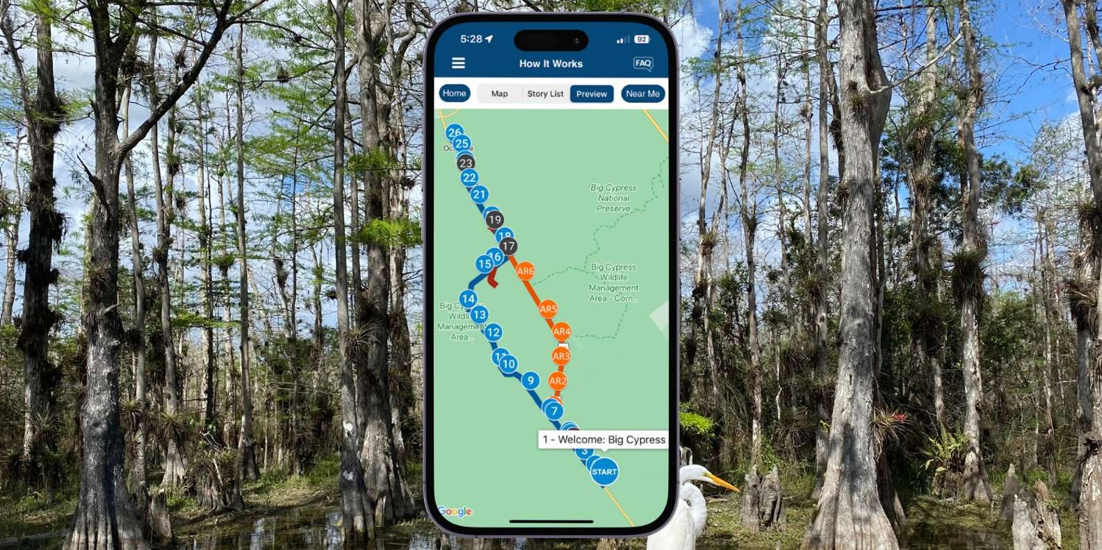 Флорида: автомобильный аудиотур по национальному заповеднику Биг-Кипарис |  GetYourGuide