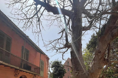 Dakar: Gorée Island and Pink Lake Private Day Trip