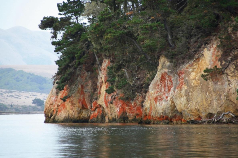 San Francisco: 5-Day California Coast, Vineyards & Wine Tour Double Occupancy Room