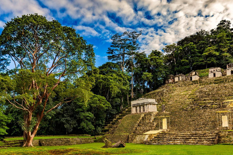 Hike in the Lacandon Jungle with a Lacandon tour guide
