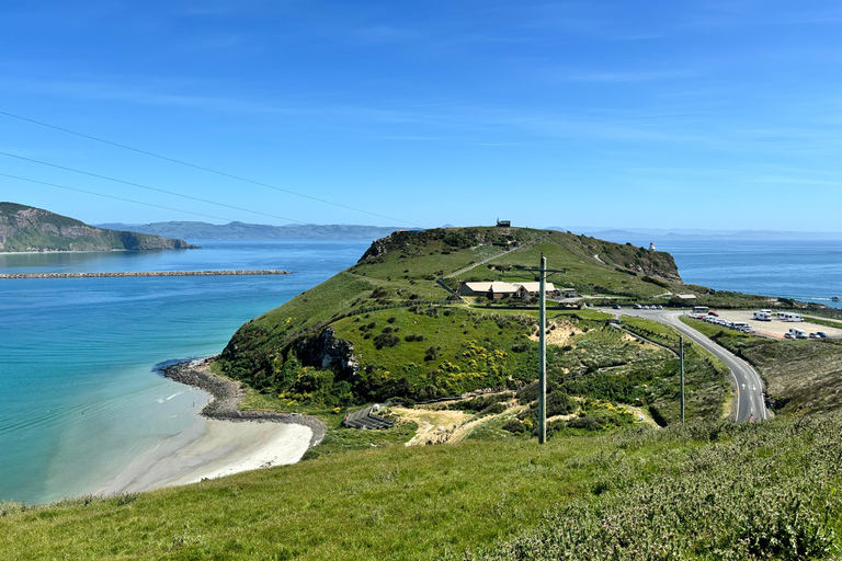 Private Dunedin City Highlights and Otago Peninsula Day Tour Private Dunedin city & Otago Peninsula day Tour (up to 4)