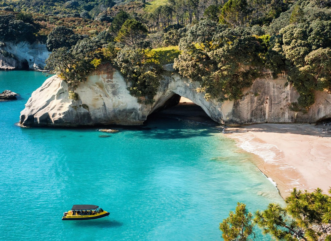 Whitianga: 2-timers tur til Cathedral Cove og den vulkanske kyst