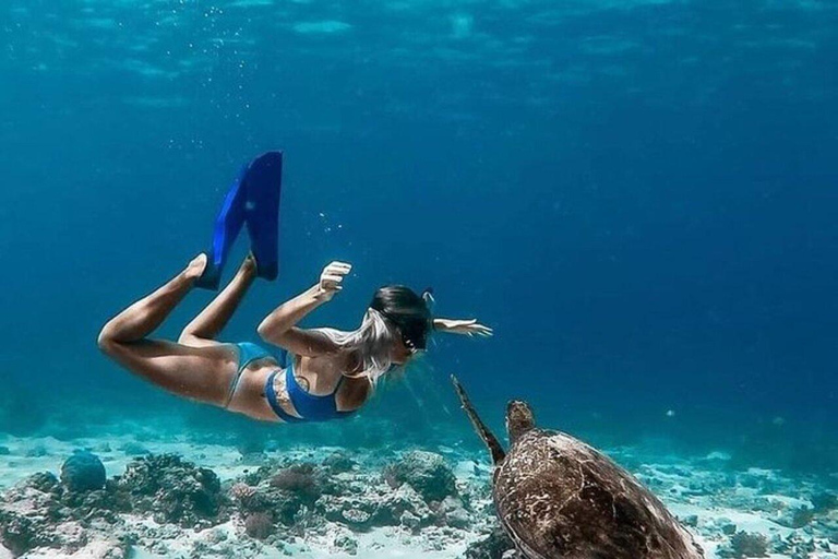 Lombok : Gili Trawangan, Meno y Aire Tour Privado de Snorkel