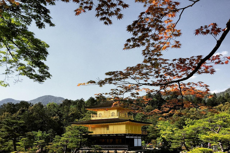 Osaka: Nara i Kioto - prywatna wycieczka 1-dniowa