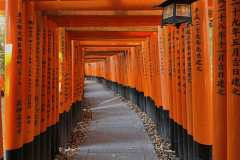 Kyoto tour de 1 día:Kiyomizu-dera, Kinkakuji y Fushimi InariRecogida en Osaka Nipponbashi 8:30