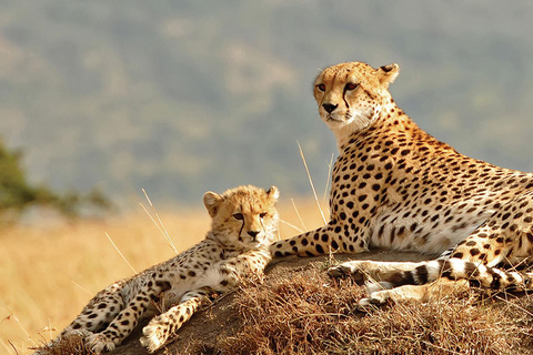 4 Day Breathtaking Safari in Kidepo Valley National Park