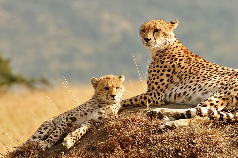 4 Day Breathtaking Safari in Kidepo Valley National Park