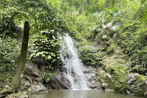 Minca: Coffee Farm and Hidden Waterfall Tour with Lunch