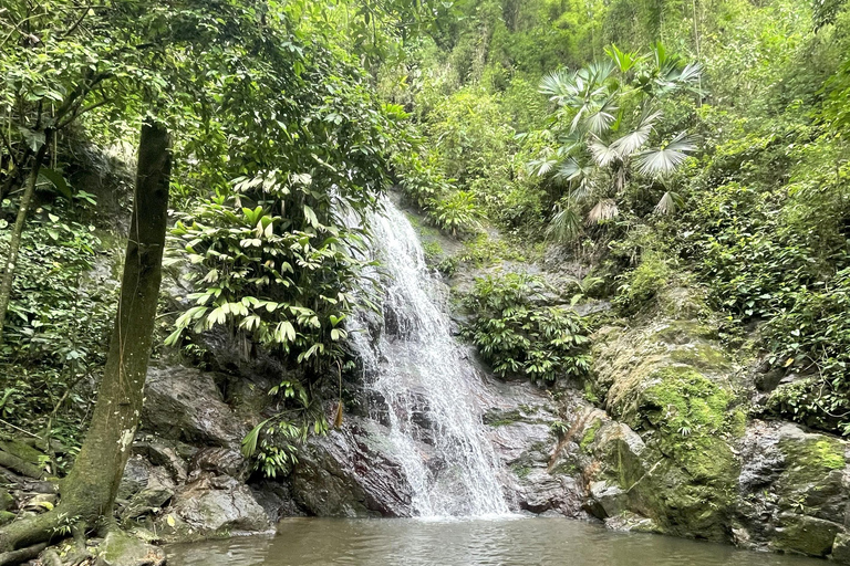 Minca: Coffee Farm and Hidden Waterfall Tour with Lunch