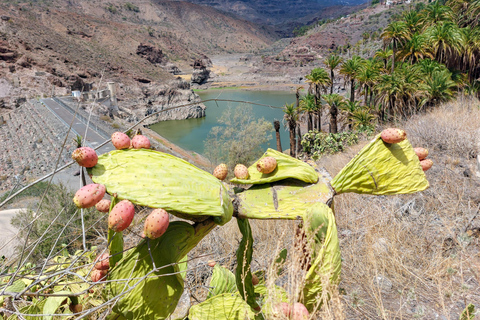 Gran Canaria Cueva, Oasis, Aventura en la Garganta Roja y Picnic acogedorGran Canaria Discovery Adventure Tour con Picnic de Tapas