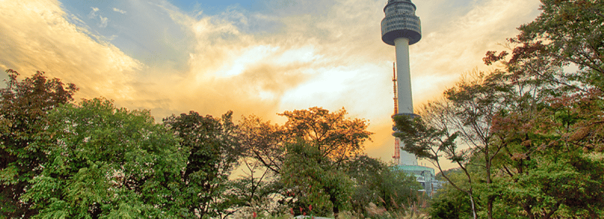 Séoul : visite d'une journée (Gyeongbokgung, village Hanok, N Seoul Tower)
