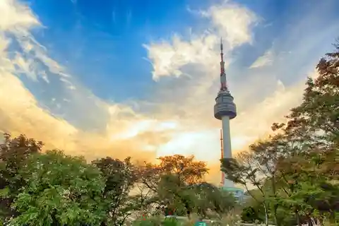 Gyeongbokgung / Hanok Village / N Seoul Tower