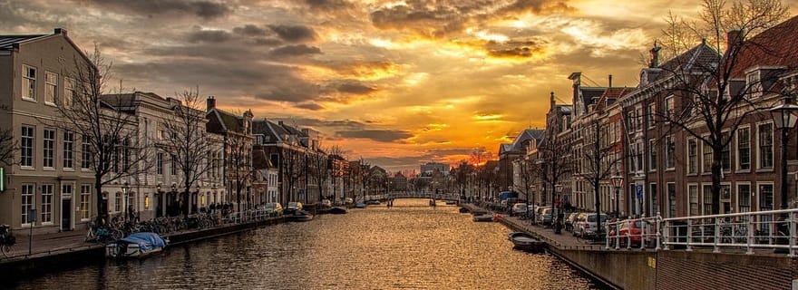 Tour privado a pie por Haarlem con Guía oficial degustación de cerveza 2h