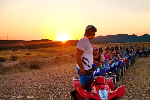 Hammamet: Camel Ride, Lunch, and Quad Biking Tour