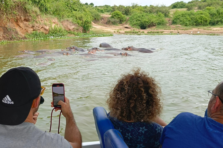 Kampala: 3-Day Queen Elizabeth National Park Safari Tour