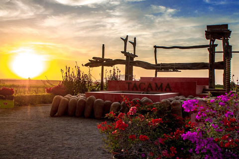 Exclusive: Hacienda Tacama from Lima + Paracas + Ica