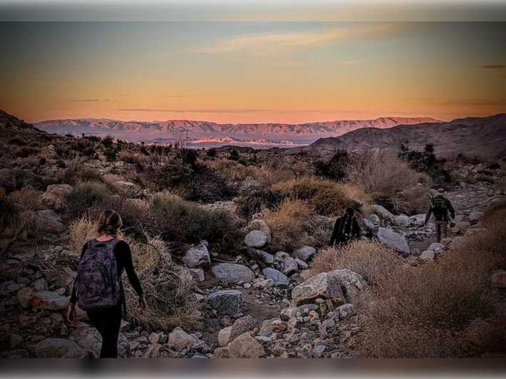 Joshua Tree: Half-Day Private Hike of the National Park