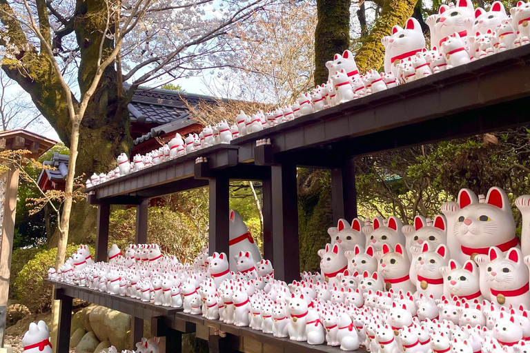 Tokyo: Gotokuji Cat Temple, Shinjuku Cat Cafe & 3D Cat Tour