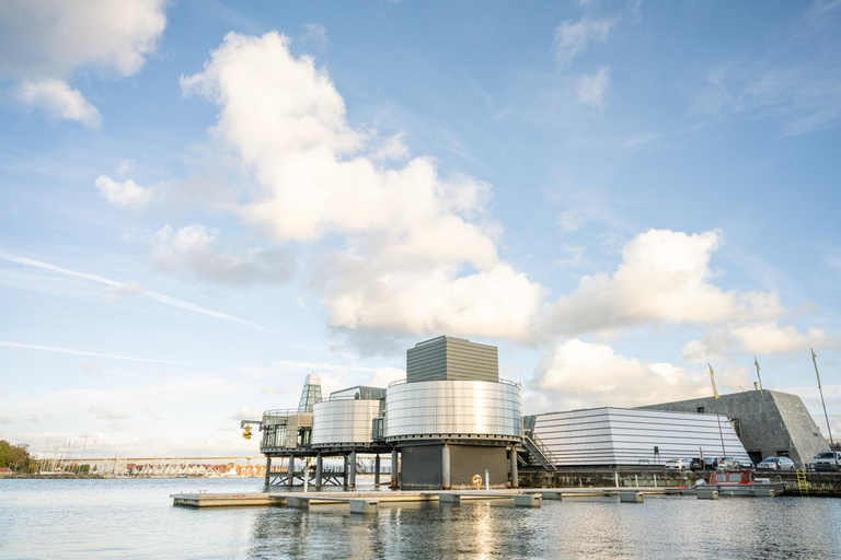 Private Stavanger city Highlights Driving tour