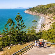 Magnetic Island: Behind the Scenes with Tim Bee
