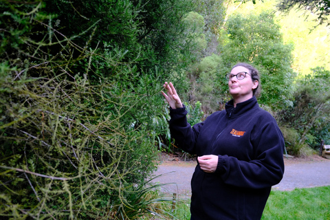 Zealandia: Forest Secrets, Plant Stories Walking Tour