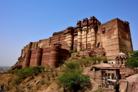 Forte Mehrangarh e Blue City guidati con ritiro e riconsegnaTour del forte Mehrangarh e della città blu con una guida professionale