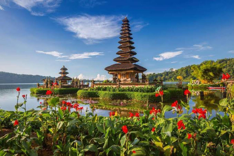 Jatiluwih UNESCO,Bratan Lake,Iconic Gate,Banyumala Waterfall North Part of Bali Privat Tour Without Entrance