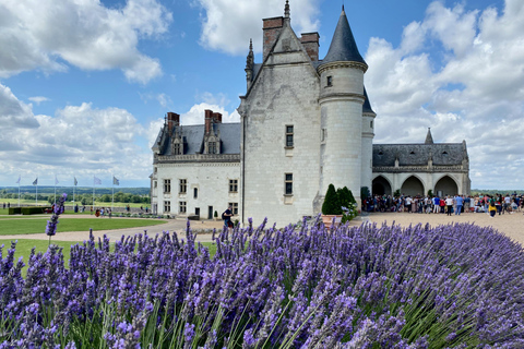 Viagem particular de 3 dias aos castelos do Loire 2 degustações de vinho pela MercedesGuiado ao vivo