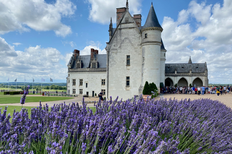 3-day Private Loire Castles Trip 2 Wine tastings by MercedesLive Guided