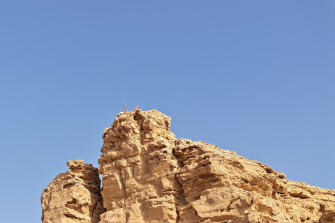 From Riyadh: Edge of the World and Darb Al-Manjoor Adventure