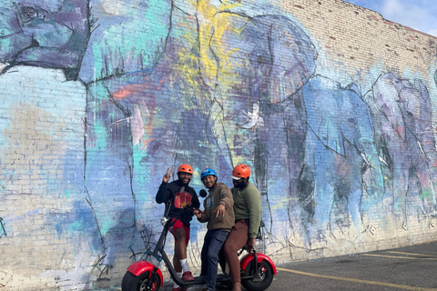 Tour dei murales di Dallas con scooter a ruote grasse