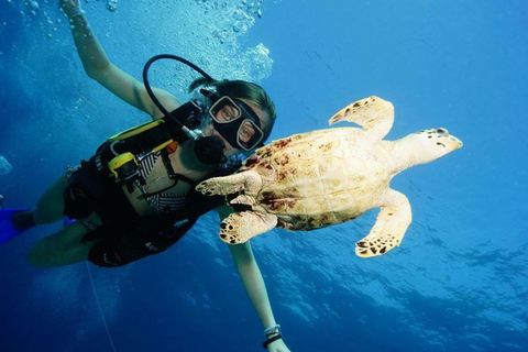 Cancún: Blue Dive (DSD)Cancún: Discover Scuba Diving Experience (DSD)