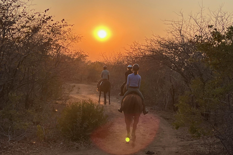 Victoria Falls: African Village Community Tour on Horseback