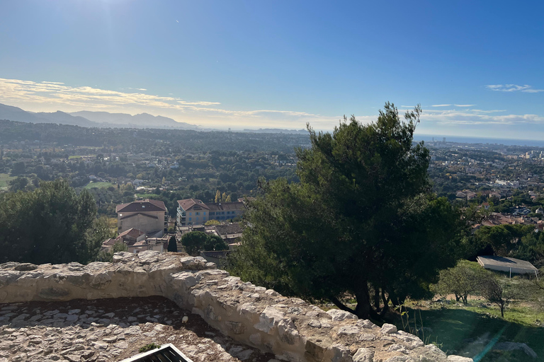 Tussen zee en heuvels: in de voetsporen van Allauch, Aix, MarseilleAix, Allauch, Marseille: privé