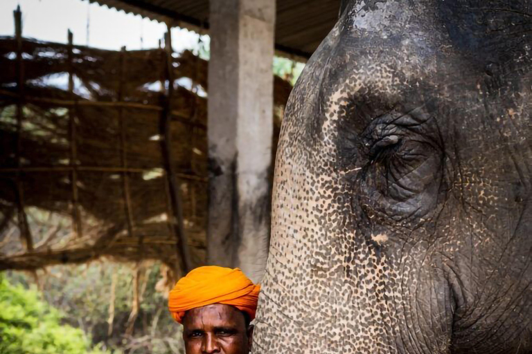 Desde Delhi: Excursión al Taj Mahal con Elefante SOSViaje Todo Incluido Desde Delhi
