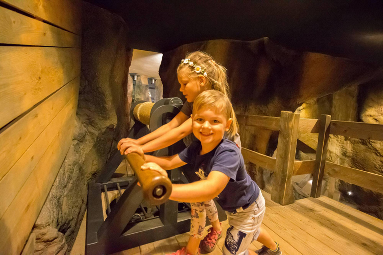 萨尔菲尔德：Kinderführung Feengrotten Kombi 门票