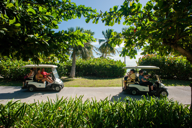 Golf Cart Eco Tour Half Day Tour
