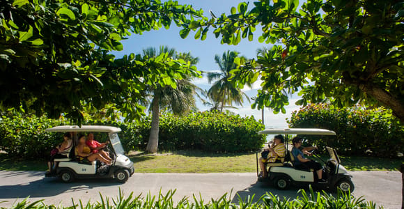 Golf Cart Eco Tour Half Day Tour