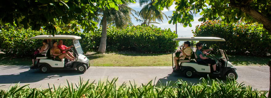 Visite écologique en voiturette de golf Visite d'une demi-journée