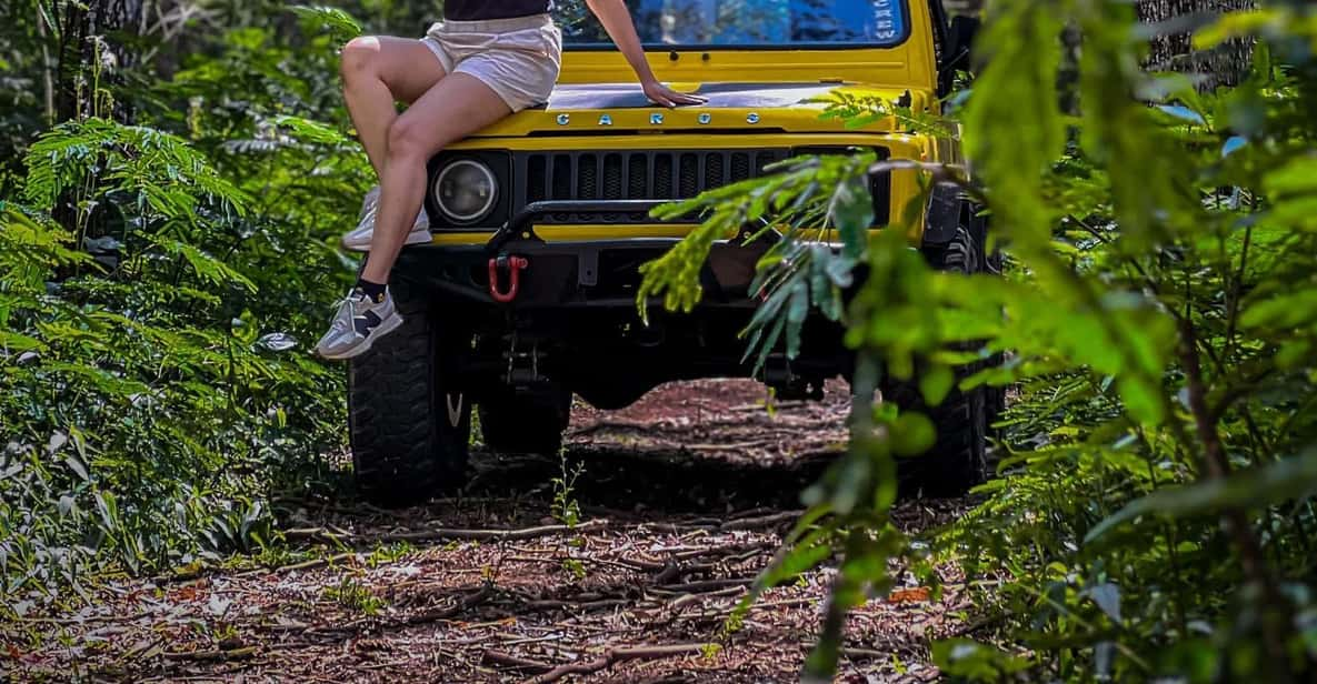 Bali Excursión en Jeep por el Bosque de Pinos y la Lava Negra del Monte ...