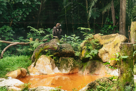 Fort Lauderdale: Flamingo Gardens Eintrittskarte