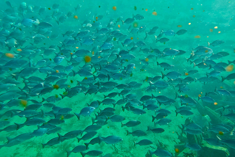 Ft Lauderdale: Combo Deal Snorkel Reefs, Kayak/SUP Mangroves