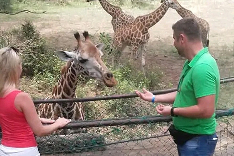 Mombasa: Excursão particular em terra e excursão a pé pela cidade.Mombasa: excursão particular em terra com almoço swahili e bebidas.