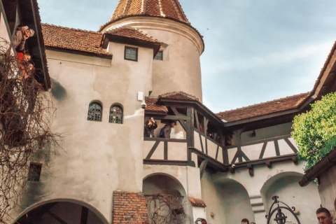 Van Boekarest: Dracula's Castle & Bear Sanctuary-dagtour