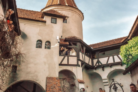 Van Boekarest: Dracula's Castle & Bear Sanctuary-dagtour