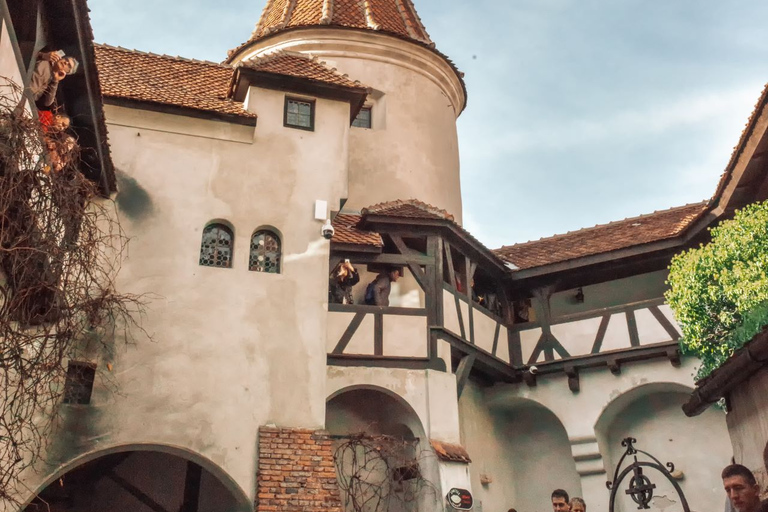 Van Boekarest: Dracula's Castle & Bear Sanctuary-dagtour